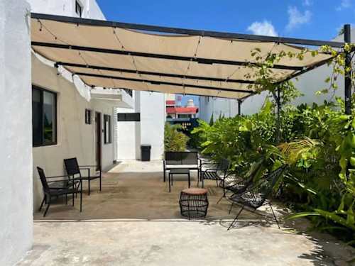 Shared garden with tropical plants and herbs