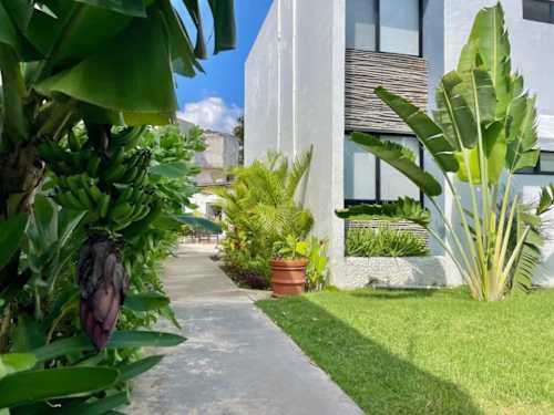 Shared tropical garden and green walkway (common area)