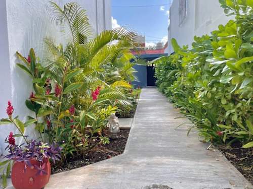 Shared garden walkway with tropical plants (common area)
