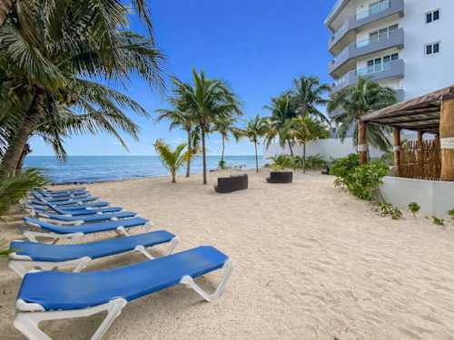 Beach lounge chairs (shared)