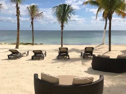 White-sand beach with palms and lounge seating