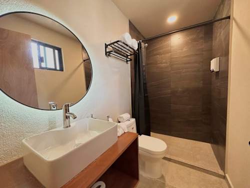Private bathroom with vessel sink and walk-in shower