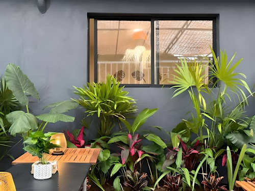 Studio interior with greenery by the window
