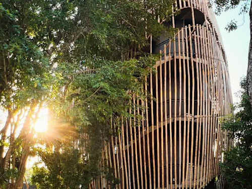 Lush tropical surroundings of the gated community (shared area)