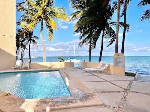 Shared oceanfront pool with palms and hammock