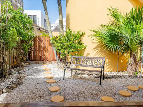Garden and patio with tropical plants