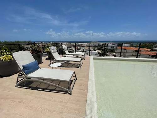 Shared rooftop sun loungers