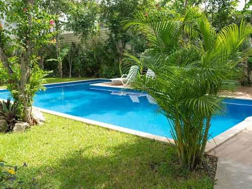 Shared pool surrounded by gardens