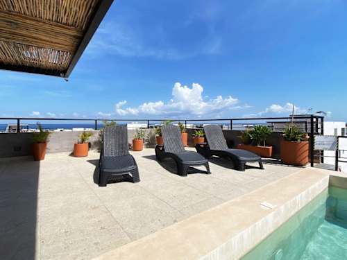 Shared rooftop loungers and umbrellas (common area)
