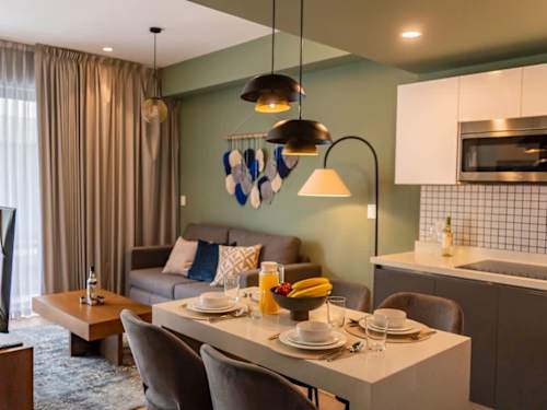 Living area with sofa bed