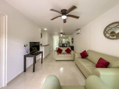 Open kitchen and living area
