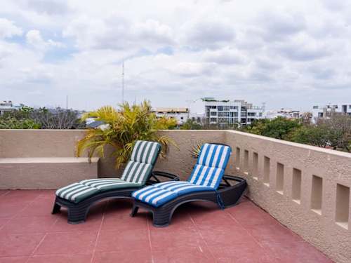 Shared rooftop sun loungers with panoramic view