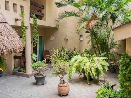 Greenery-filled entrance corridor
