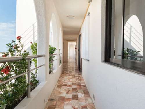 Entrance with tropical plants