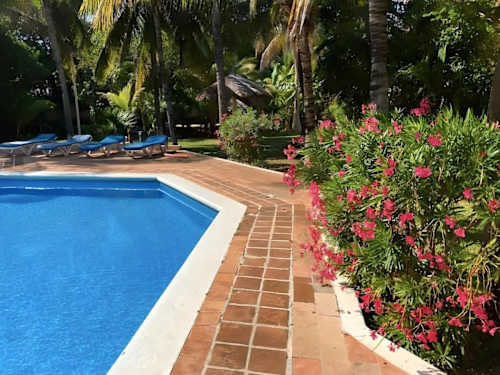 Shared pool with bougainvillea