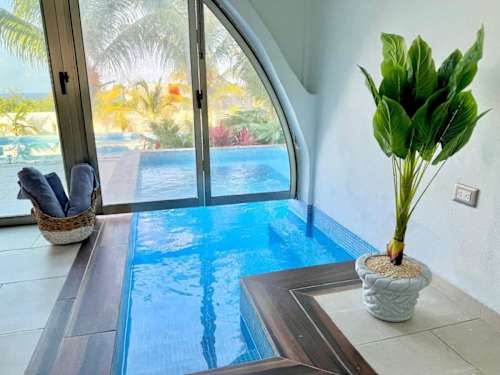 Private plunge pool of the villa