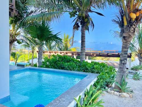 Private plunge pool with palms