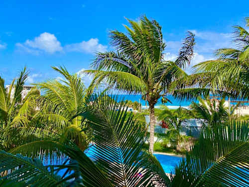 Shared community pool and gardens