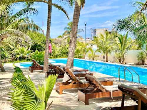 Shared community pool with palms
