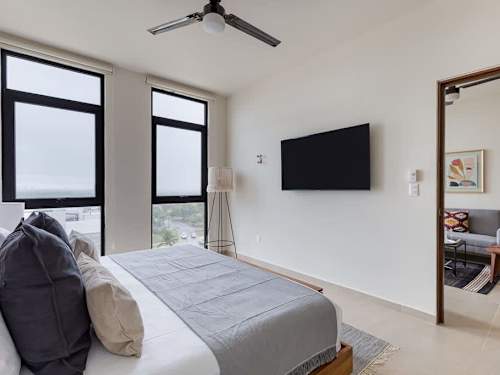 Bedroom and living area