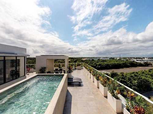 Shared rooftop pool overlooking the city