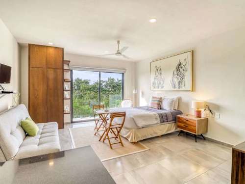 Open-plan studio with bed and sofa