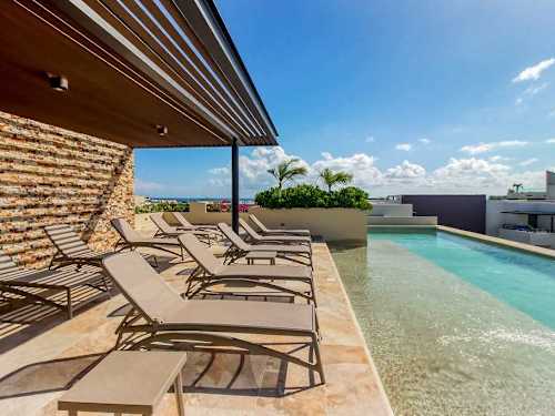 Shared rooftop pool with sun loungers