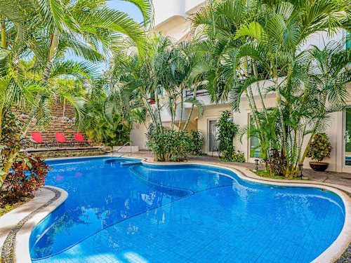 Lush shared pool area (communal)