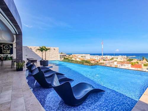 Shared rooftop pool with sun loungers