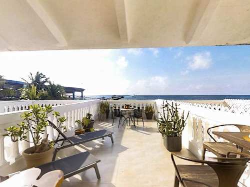 Living and dining space