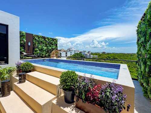 Rooftop pool framed by loungers and lush greenery, your daily escape above the buzz of Playa del Carmen