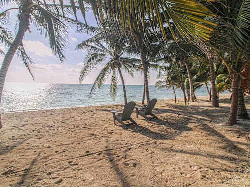 Beachfront garden with palms and direct ocean access