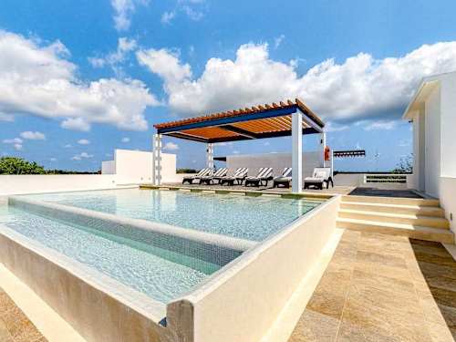 Shared rooftop pool deck with loungers