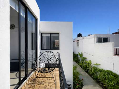 Shared garden and patio with tropical plants