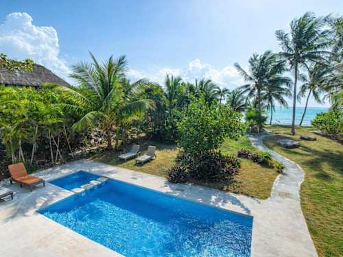 Private pool surrounded by palms