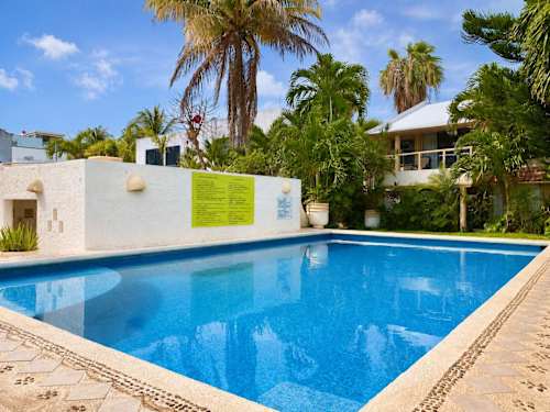 Inviting swimming pool ringed by swaying palms, your tropical retreat just steps from the studio