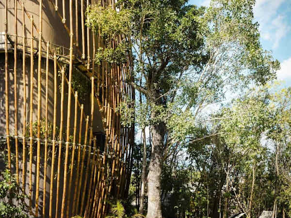 Design Loft | Cenote Pool | Nature | Cancun