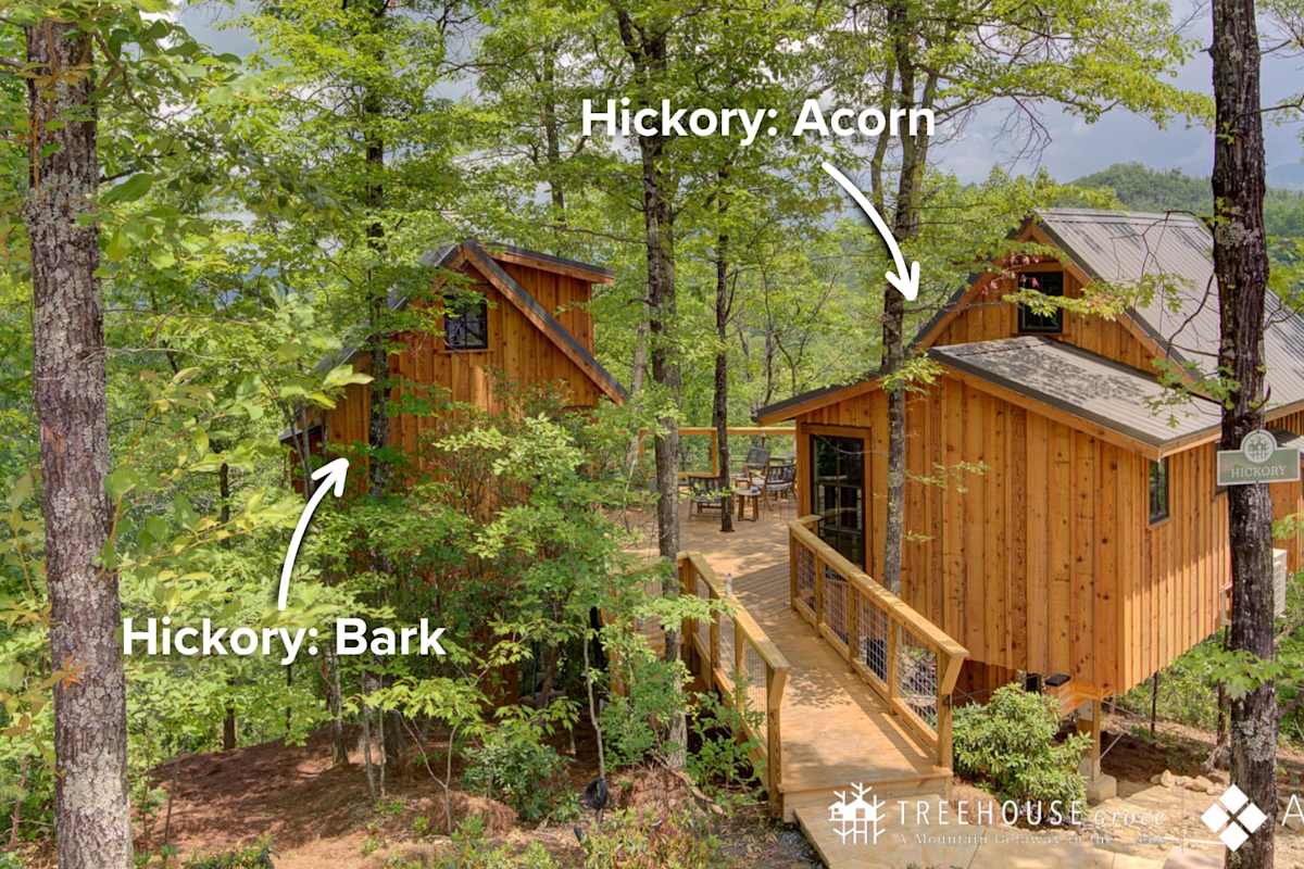 The Hickory: Bark in Treehouse Grove