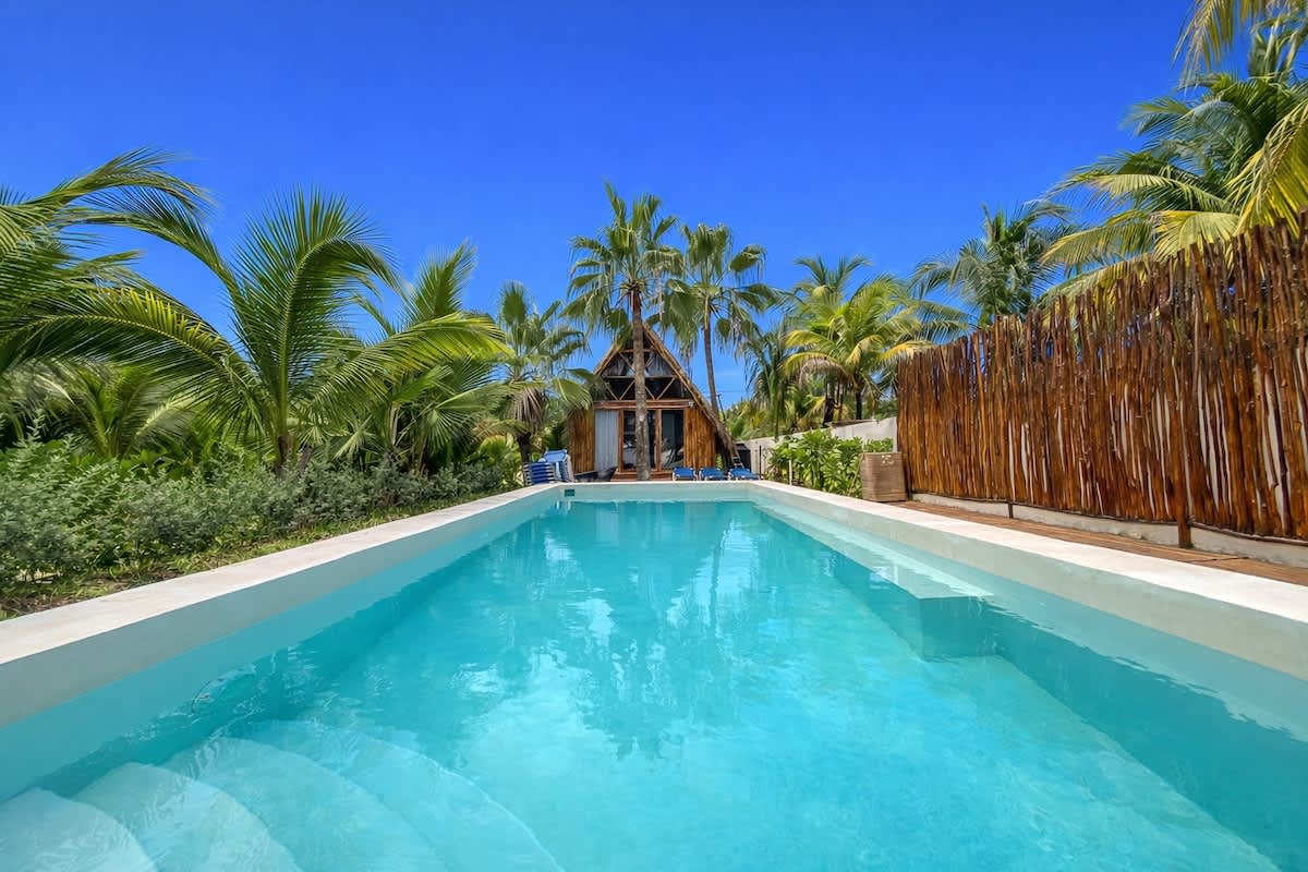 Shared swimming pool surrounded by palms with ocean views