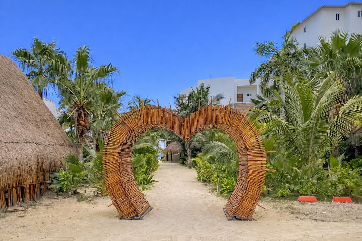 Beachfront with palm trees and sun loungers (shared)