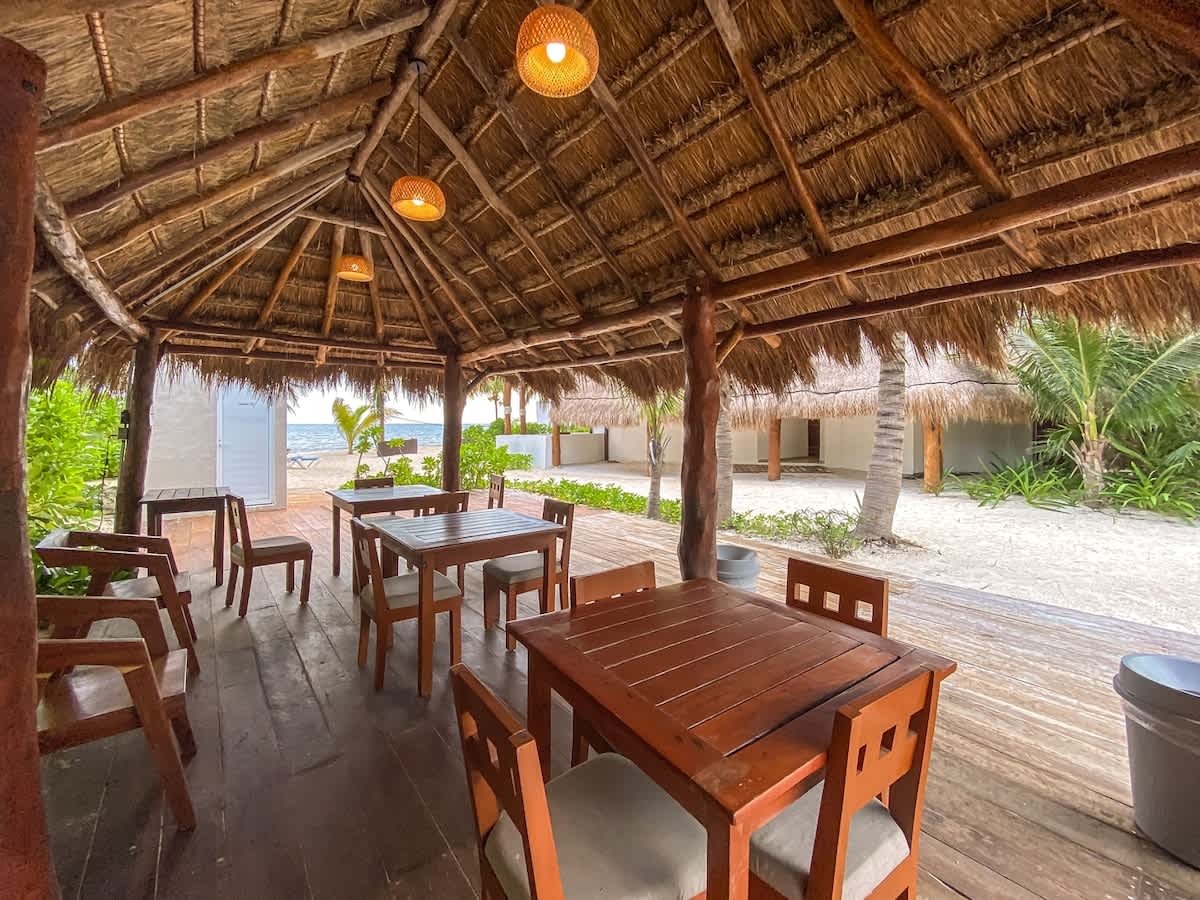 Beachfront palapa dining area (shared common area)