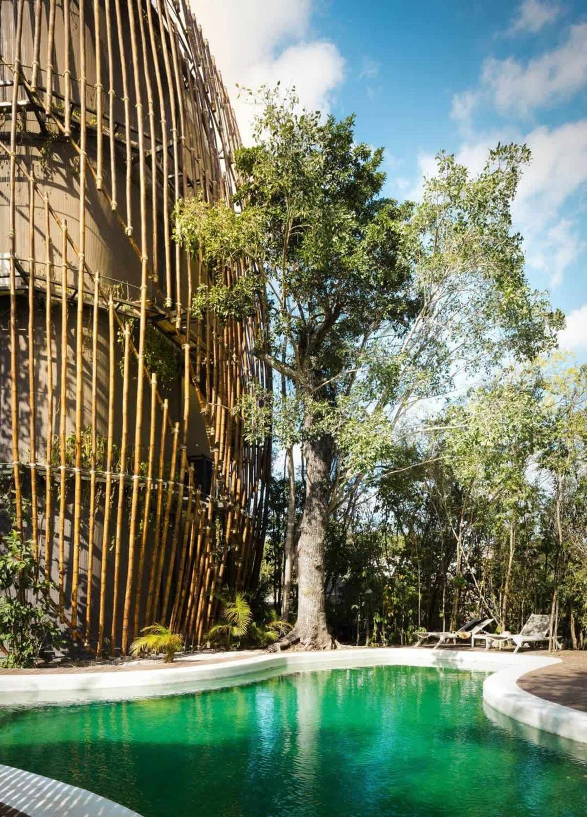 Shared cenote-style pool surrounded by jungle (community area)