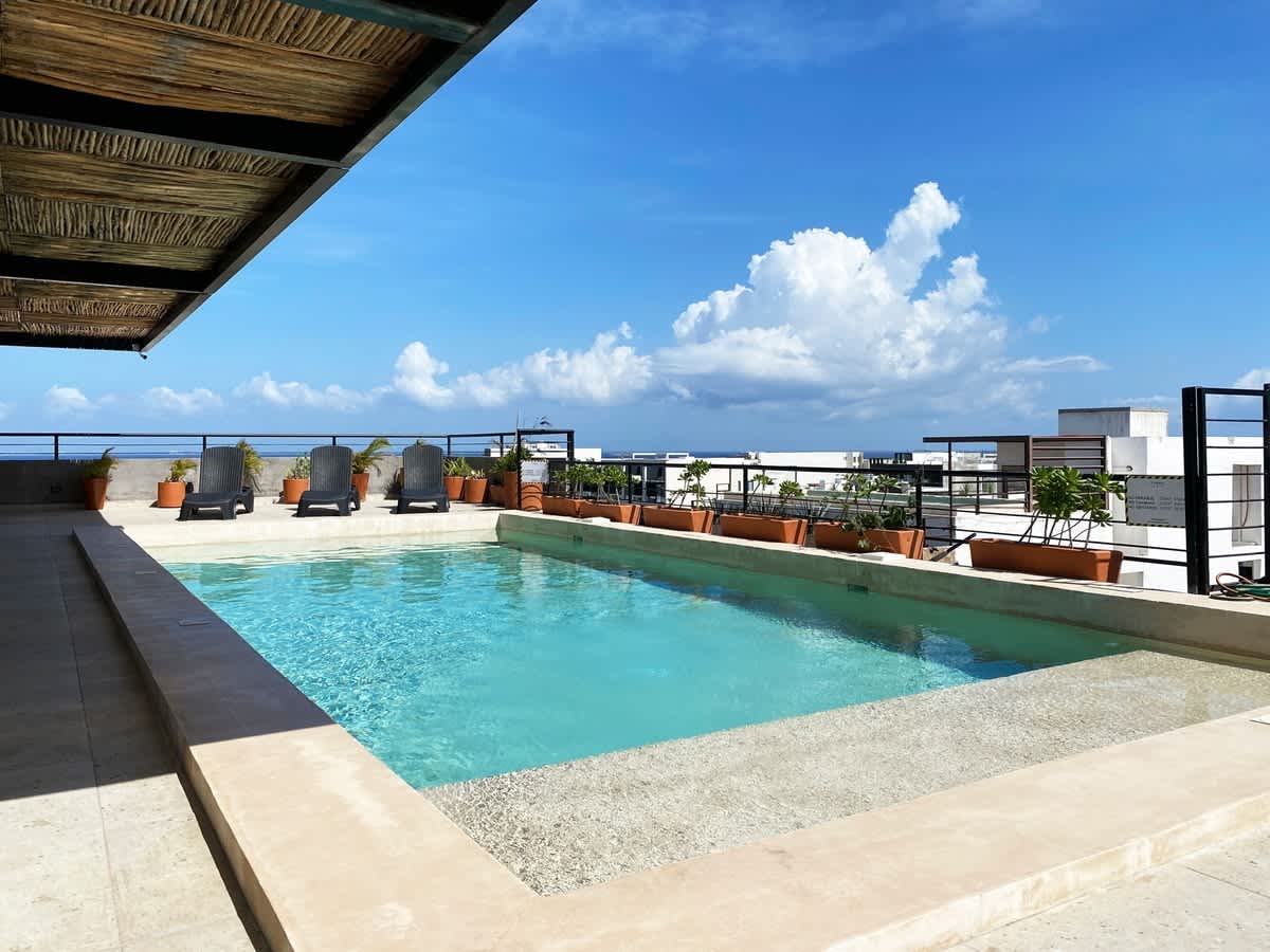 Shared rooftop pool with sea views