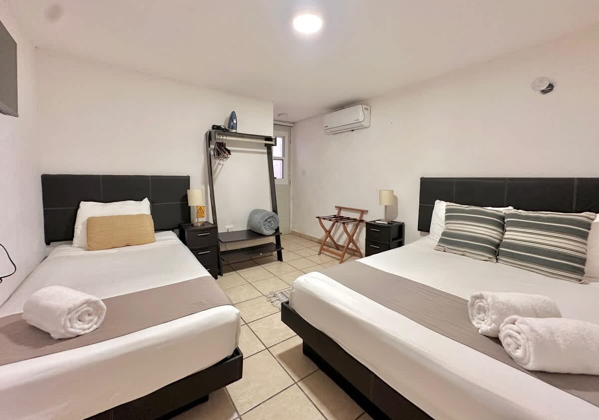 Cozy studio interior with sofa bed and sleeping area