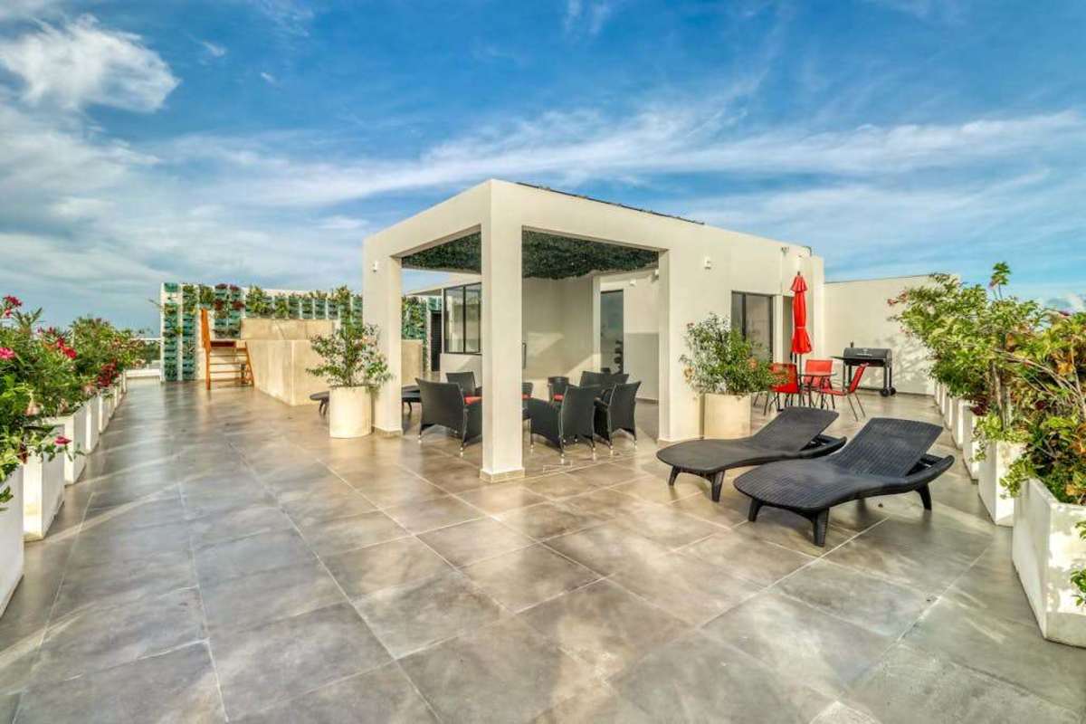 Shared rooftop pool deck with loungers
