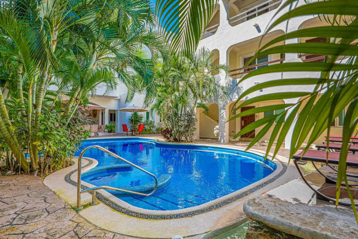 Shared pool surrounded by palms