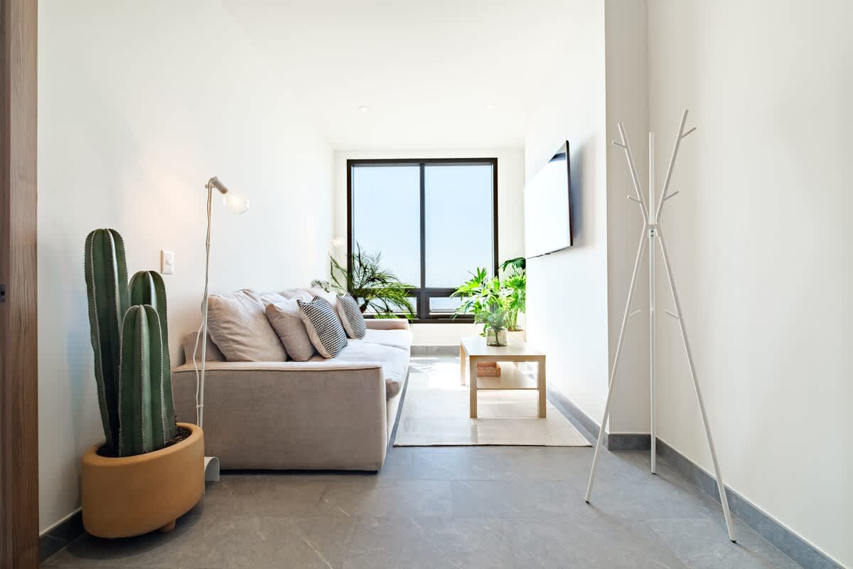 Bright living room with a comfy sofa and greenery by the window, easy relaxed living in Reforma