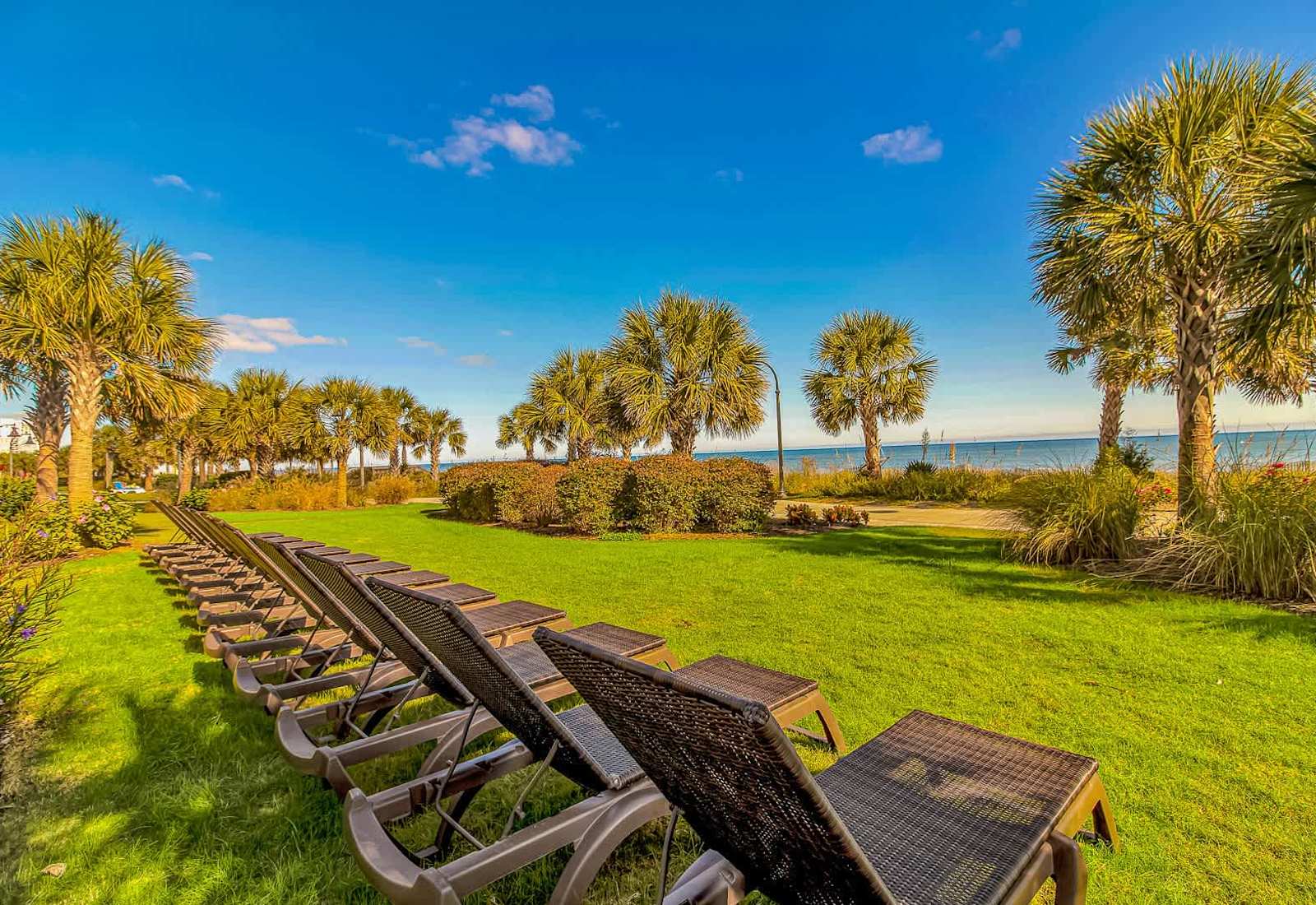 Lounge in paradise just steps from the sand! This lush oceanfront lawn with palm trees and sunbeds offers the perfect spot to relax, catch some rays, and soak in the stunning Myrtle Beach views.
