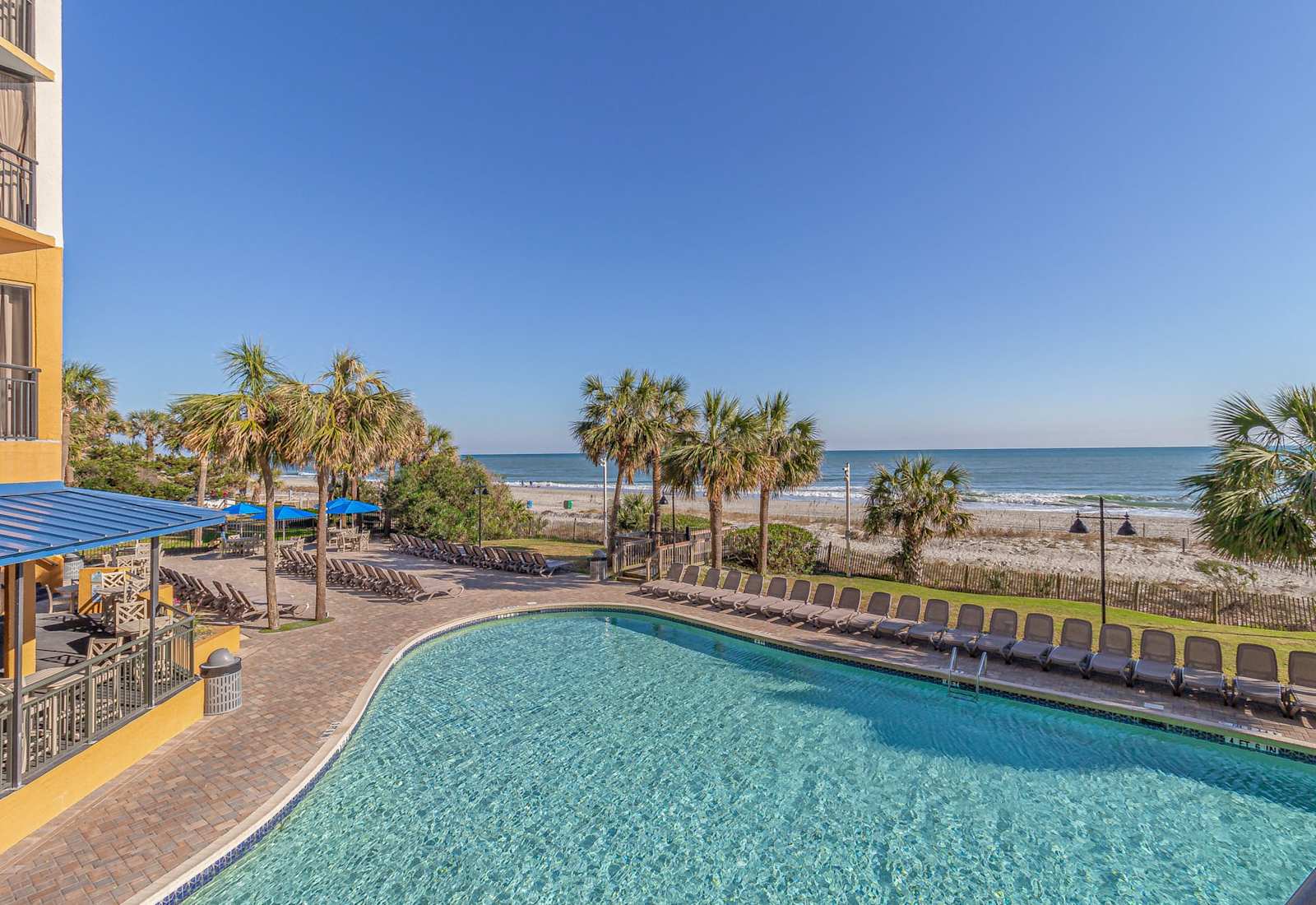 A sparkling swimming pool, lined with dozens of lounge chairs, stretches alongside a brick-paved deck shaded by tall palm trees. Just beyond the pool, a lush grassy strip and a row of palmettos lead you to the beach.