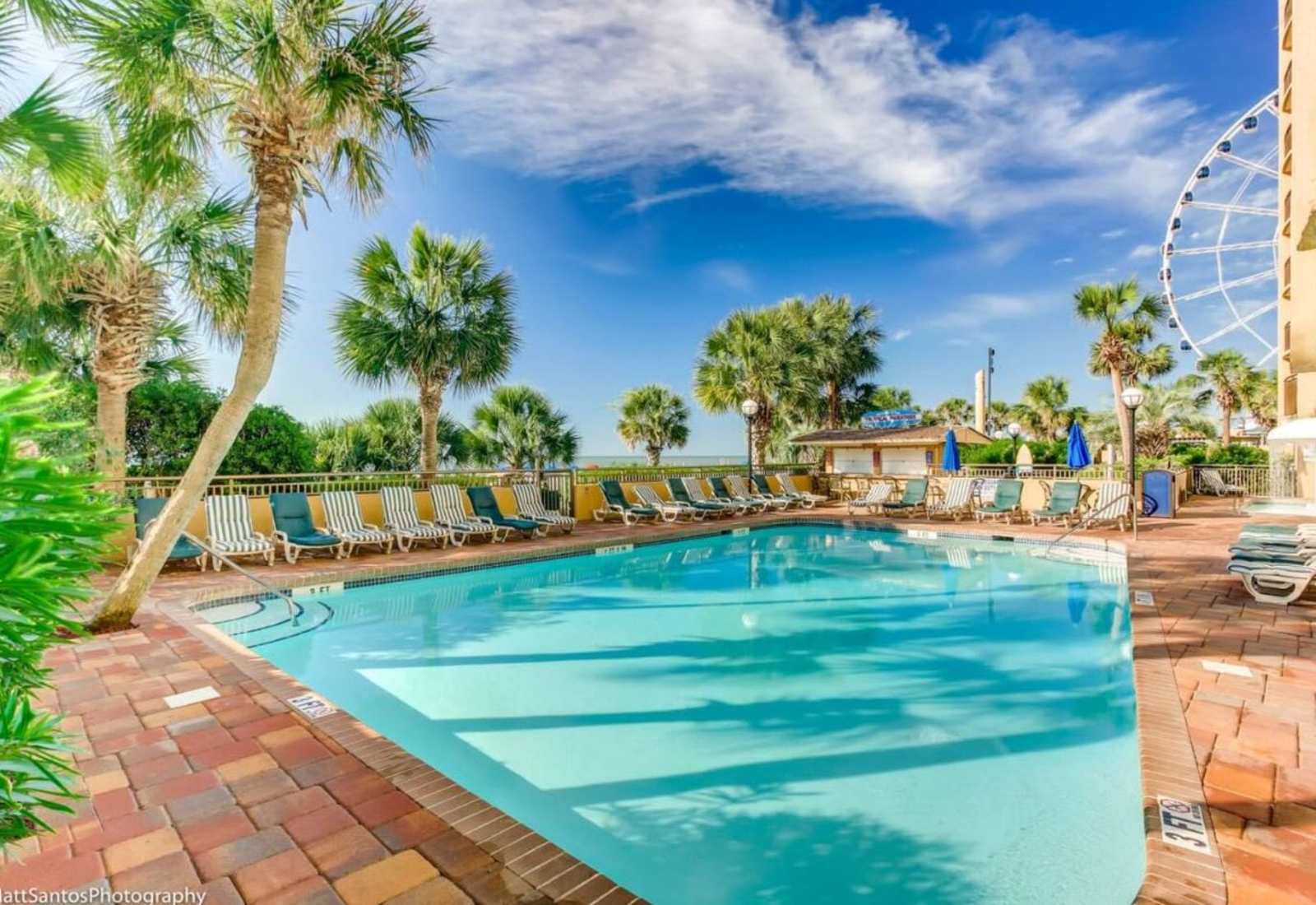 Relax by the sparkling pool, surrounded by lush palm trees and breathtaking ocean views.